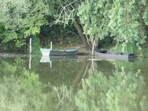bateaux2.jpg